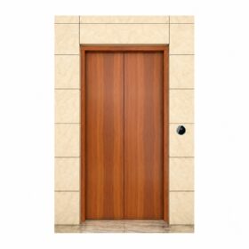 Ketai DN-TM05 - cửa tầng inox giả gỗ